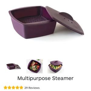 Epicure multipurpose steamer